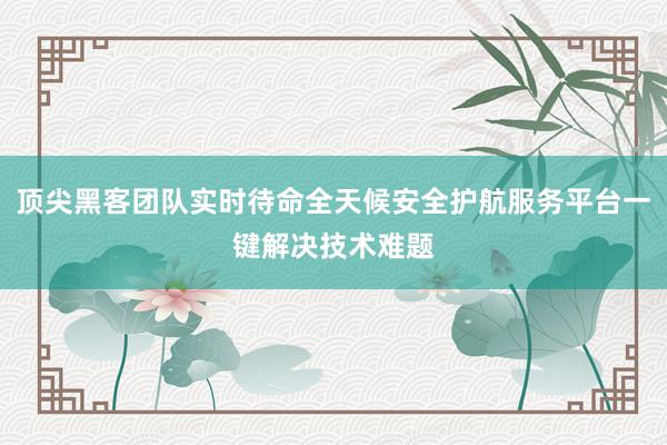 顶尖黑客团队实时待命全天候安全护航服务平台一键解决技术难题
