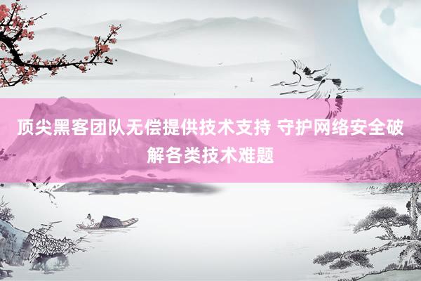 顶尖黑客团队无偿提供技术支持 守护网络安全破解各类技术难题